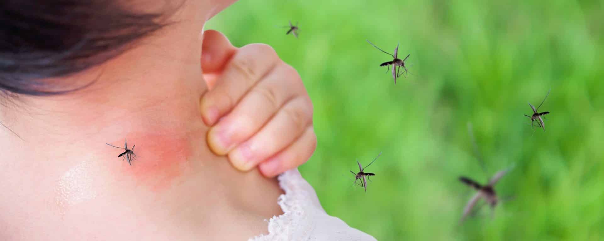 Natural Mosquito Repellents